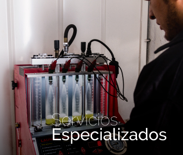 Servicios Especializados